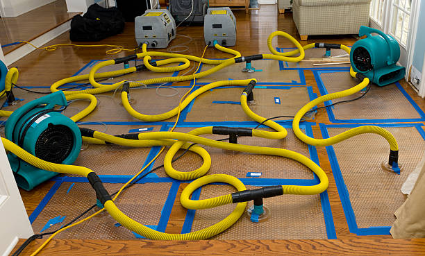 Professional Water Damage Repair technician working in East Nassau, NY